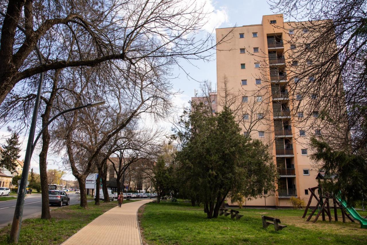 Apartment Firpo *
